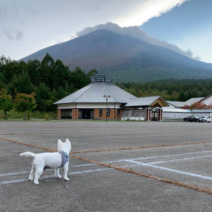 Ac6fc1a5 f124 4f37 9b31 064d4d15db7d 1570362182018