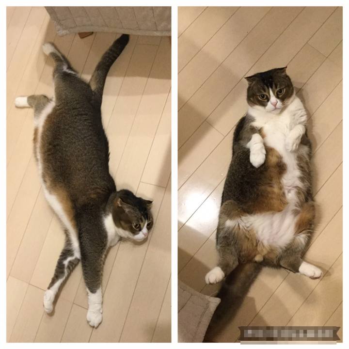 Ac6fe1e7 a320 4685 bd8f de5ebcbd28cb 1555674633812