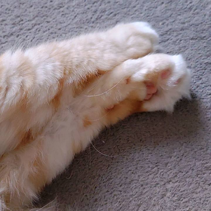 Ac6ff0cf ec60 4f1b b744 e4f9a5eeadfa 1723605018259