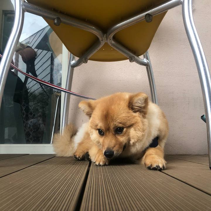 Ac702246 fddd 4fe0 b38d d69f93dc6f33 1593219508630