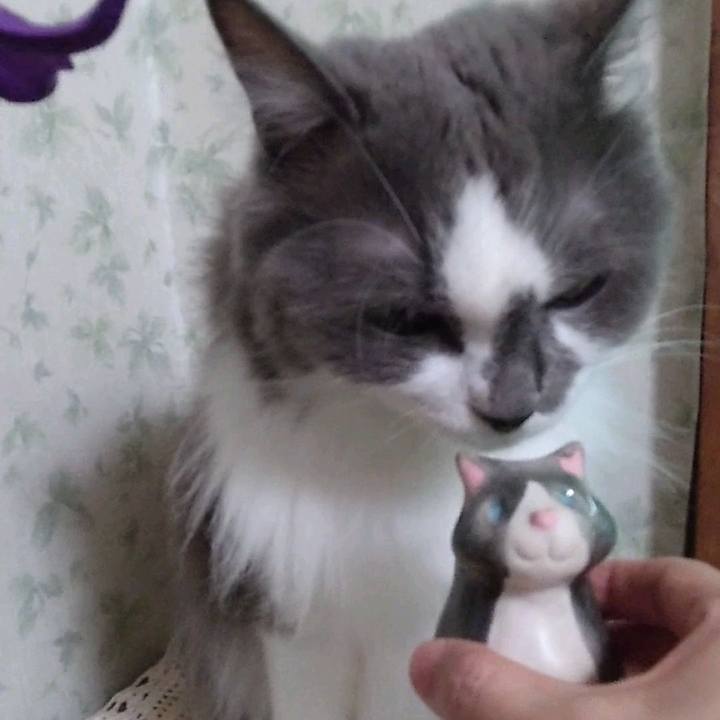 Ac7039da 0cb3 456e 8eaf f32292fa462e 1725181634504