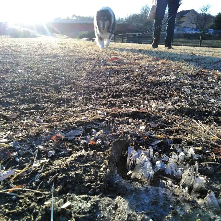 Ac703b55 5adf 48a7 bc3c b364b8e80005 1552571666318