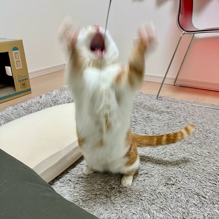 Ac70a526 7e2e 4172 be66 3dd3e4b94b00 1770780249688