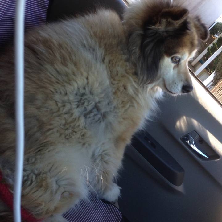 Ac70b08c 9868 4aba 8a7f 35224178f1f6 1601363318591