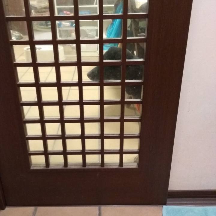 Ac70ccdb 61e0 4dd6 94d3 1e040b97d1ad 1608547849486