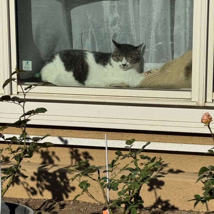 Ac70e740 6b76 4f1a bd52 dcf0a534ac51 1762913425666