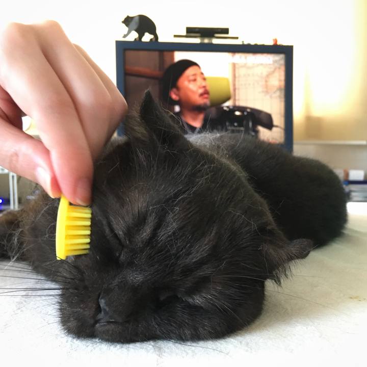 Ac7100f3 b2ea 42e1 a30a ab7e19a1d671 1532233569615