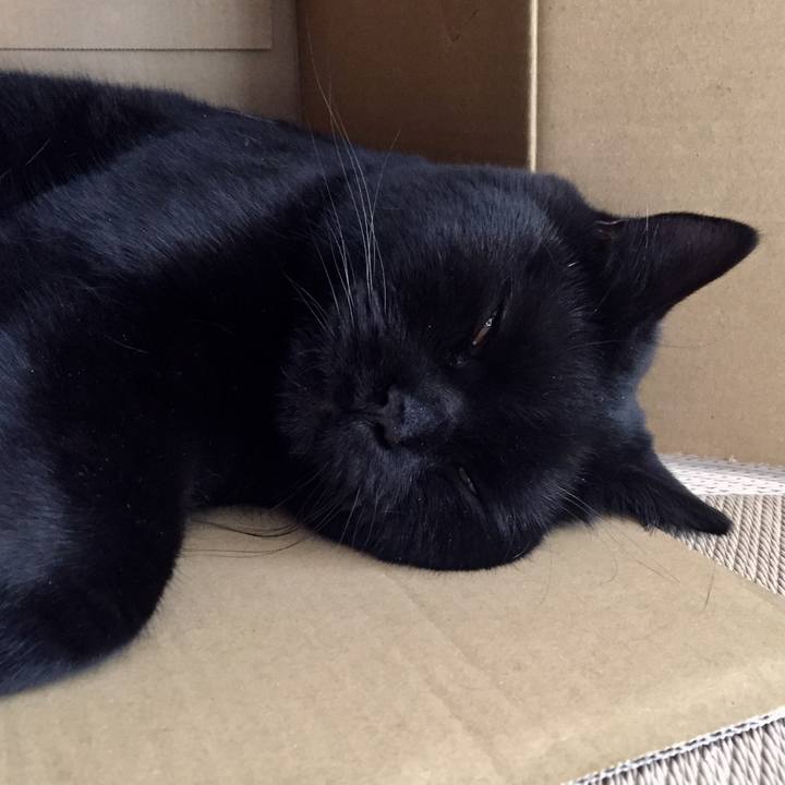 Ac7108bf e425 47c4 a9b7 f145106592fc 1522723963444