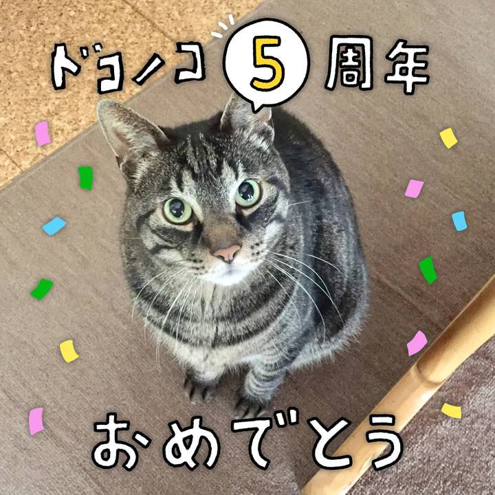 Ac7118b2 0f17 42bf bb91 8bb8575fcb91 1622865388759