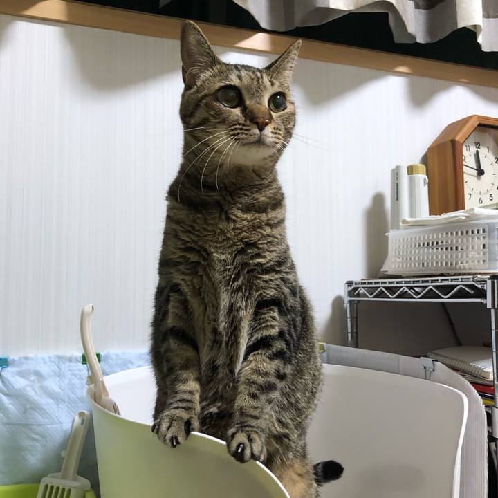 Ac714cc7 4a02 4b01 90d1 e2513fbd92db 1657658205253