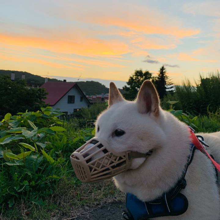 Ac714ead 3b24 4792 b986 6cc4e2ff3499 1629577325588