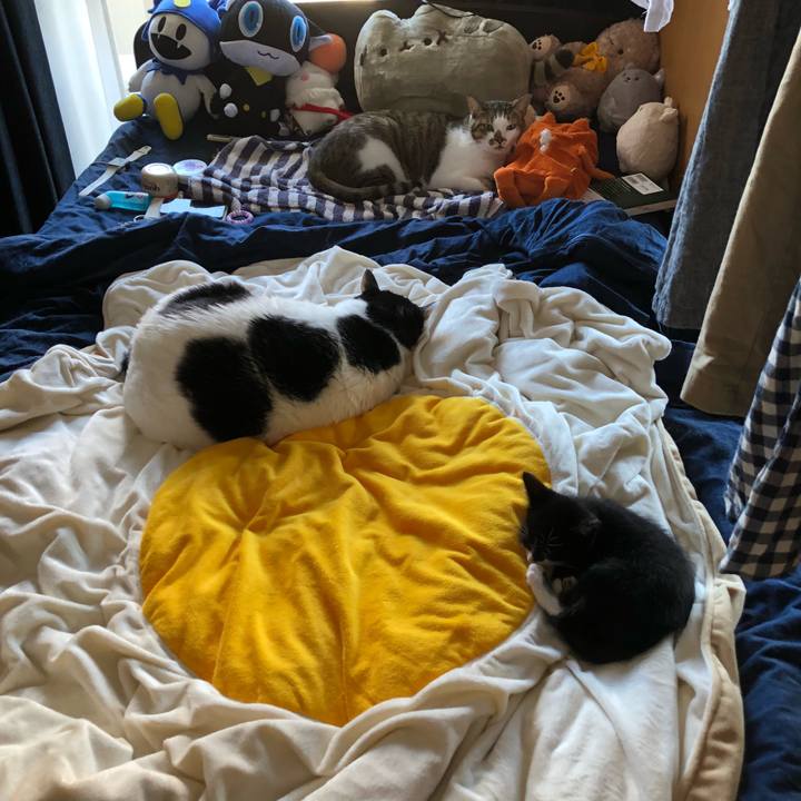 Ac715fdc 828b 4abc b9fb 7c18e41e4b01 1537597755568