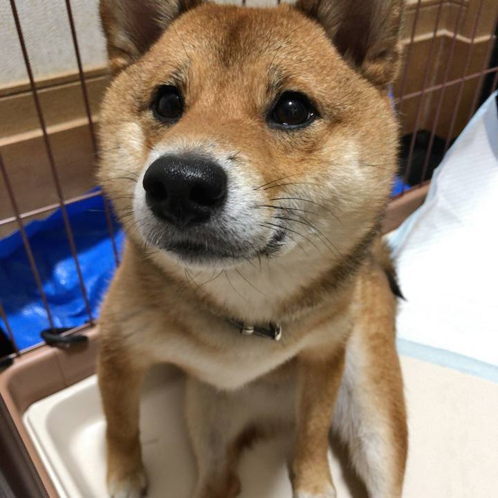 Ac716f1a 6000 4c43 bb20 eedc923a9f6e 1529100289058