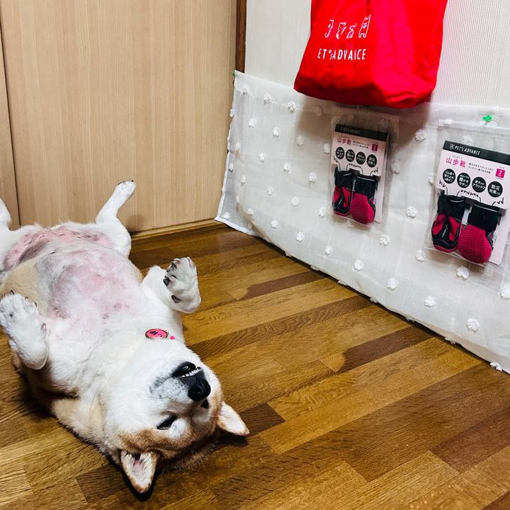 Ac71c70c 4a76 4379 bef4 013ce65e5feb 1726056861745