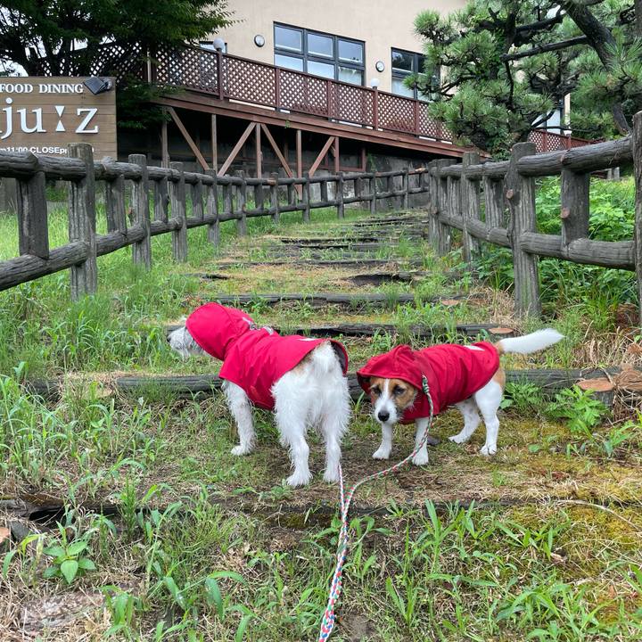 Ac71c84e d369 431d 93a7 1ebd2a4488b2 1662680003731