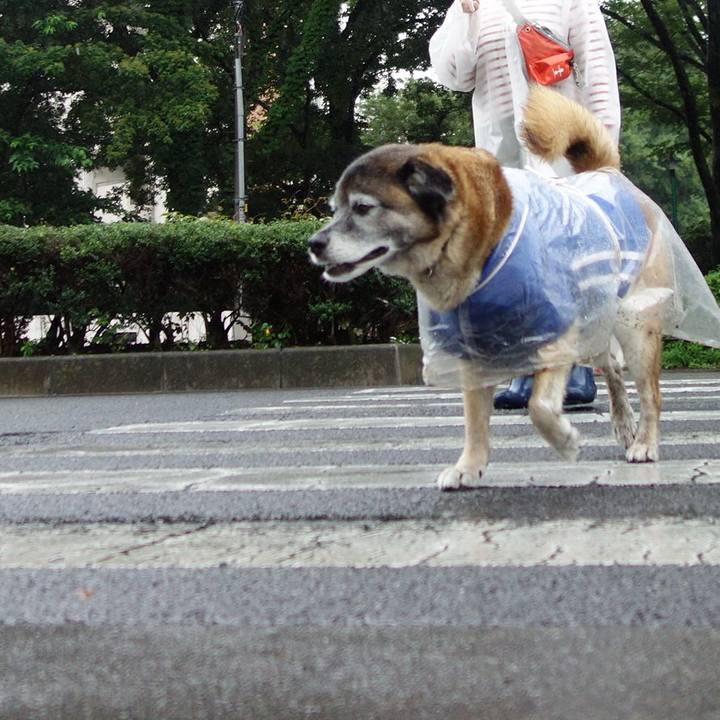 Ac71d24f be0c 4936 b52d d4c43e1dc3c2 1562461510045