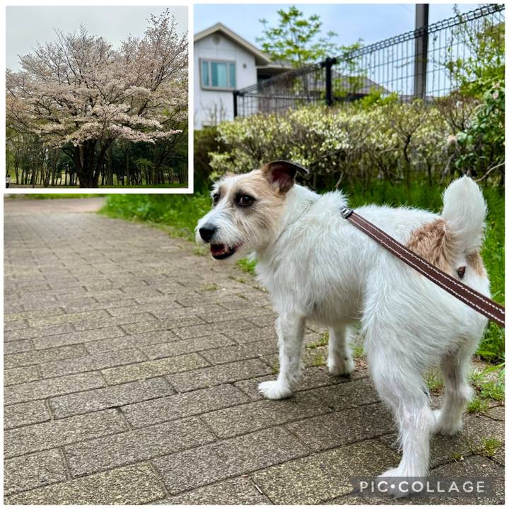 Ac71e354 3694 403b 8bda 3a25bd10ec98 1744526106856