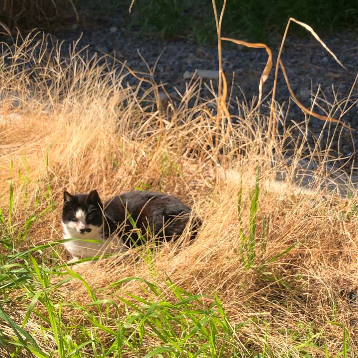 Ac71e7b3 9660 4ede 8247 c3ee14541516 1617086758717