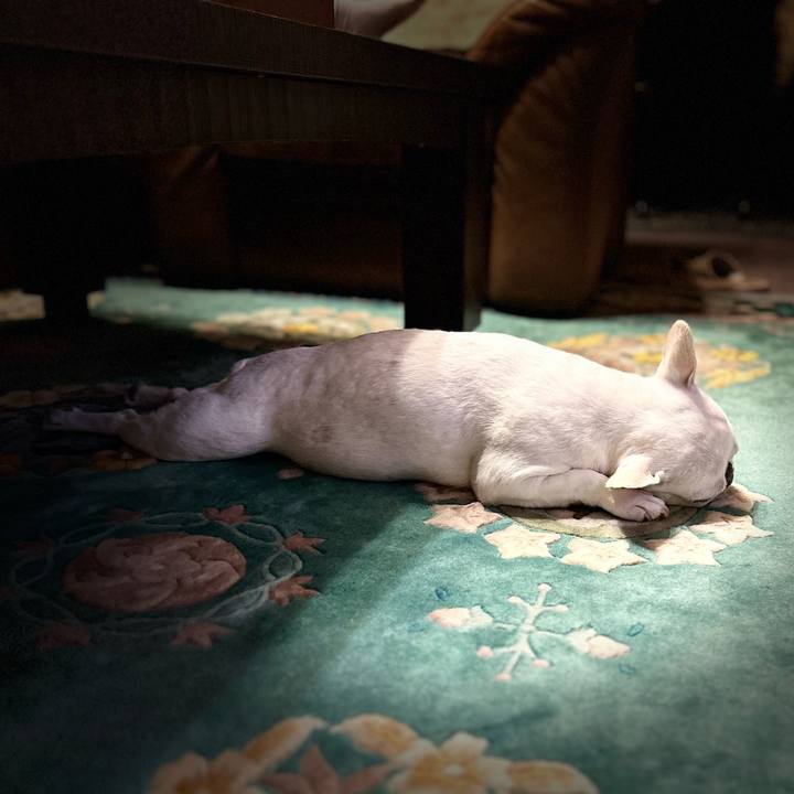 Ac71fb97 f683 44b5 b347 fe6a92c1c1d2 1692098032156