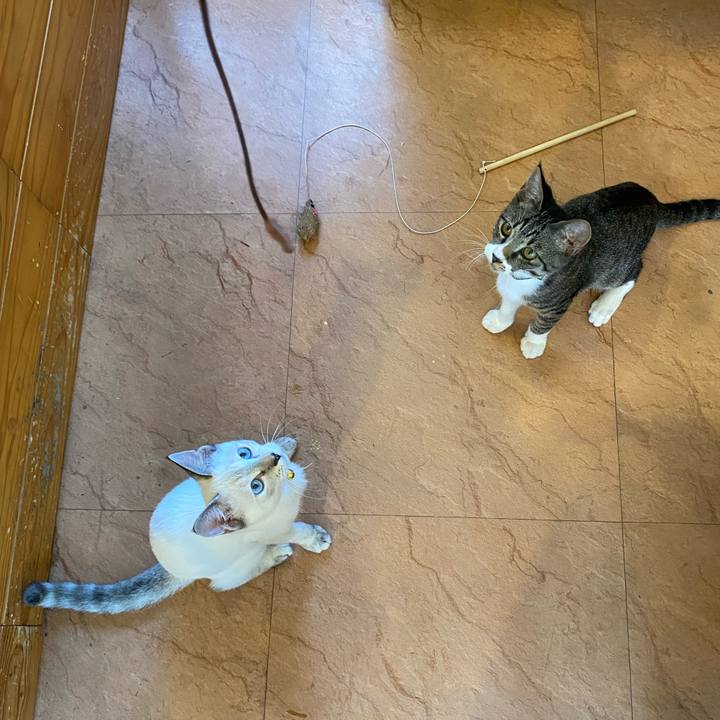 Ac71fe28 bcf5 4f81 bd3f 92f1414d2dcd 1631191519371