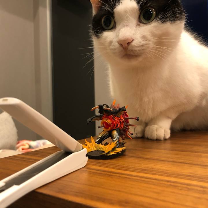 Ac72211b d7e6 4860 824a 41bd9524073d 1658311447630