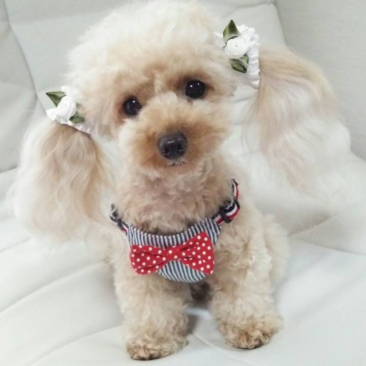 Ac722b9e 0d4b 4517 b161 e001f8653380 1535444921394