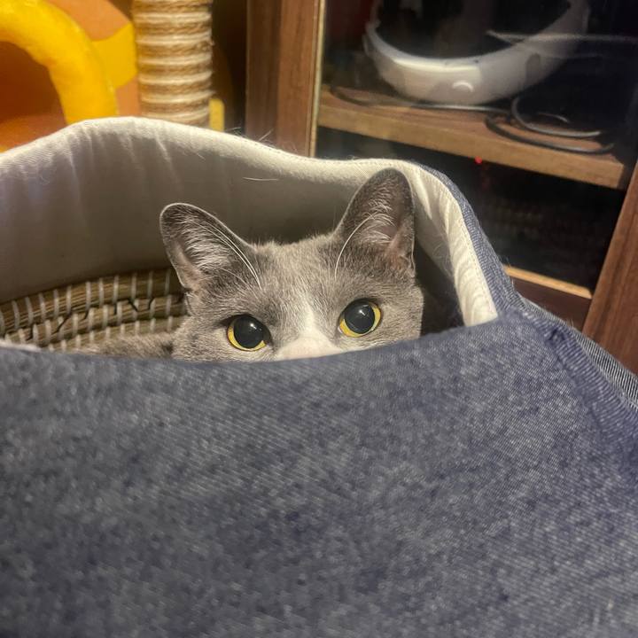 Ac723fb3 a6f6 4a76 ace2 1c10b3128b85 1680779459179