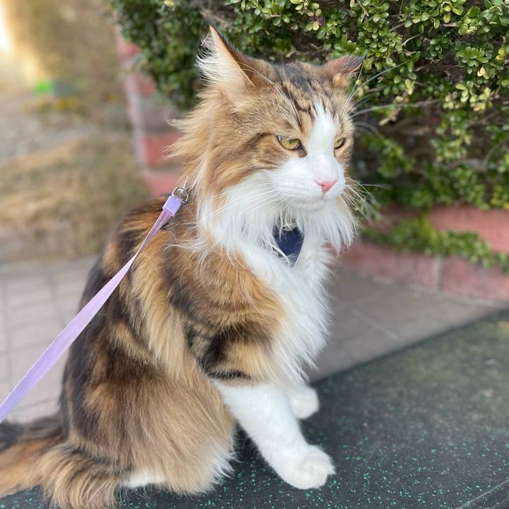 Ac724167 0a56 489e b614 c2e3b662f43e 1679128993790