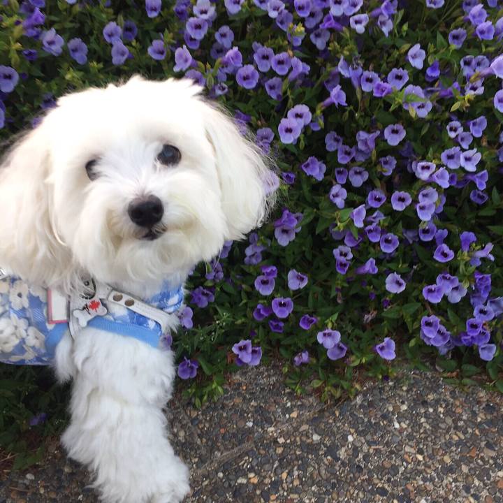 Ac724461 c939 4775 a541 8b78ddfcd4dd 1539258698339