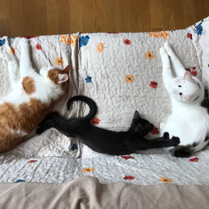 Ac725f58 f42e 4078 8538 c488407d6e69 1564194854956