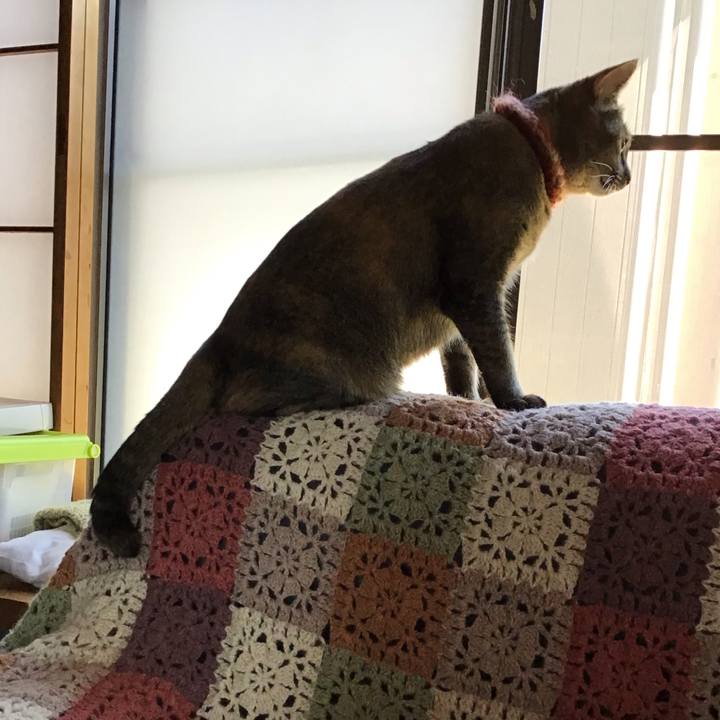 Ac726b6b 7d35 48ca 9ed3 5baa78046e43 1633772332307