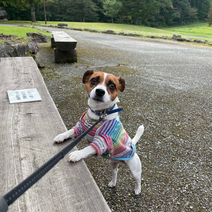 Ac729441 24e2 4d7e aa58 bee01f24473d 1632892929545