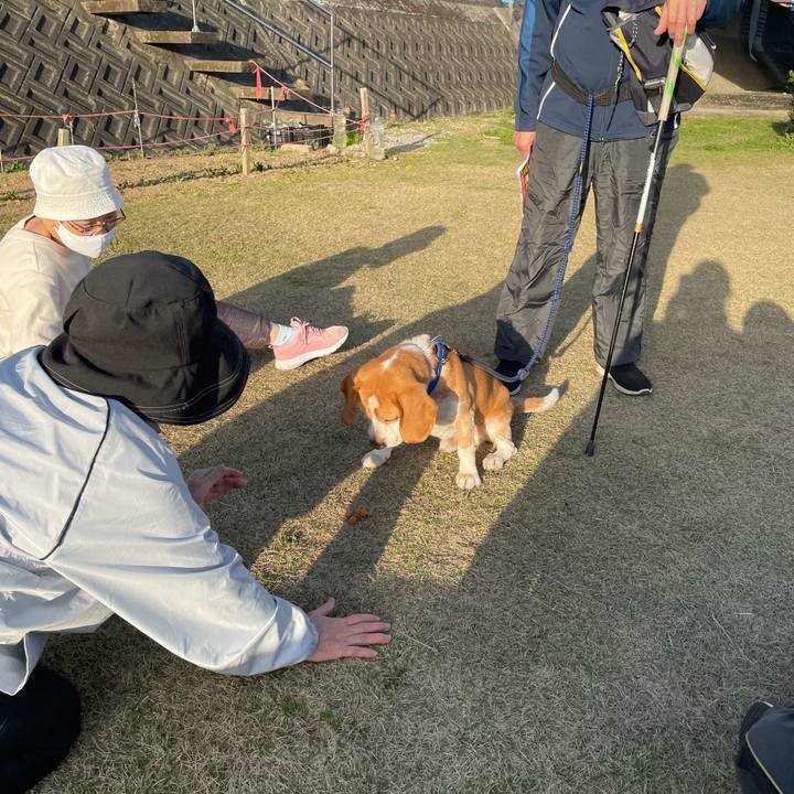 Ac729963 b0f9 4f3b 931c 8ec55a1088f3 1678798204464