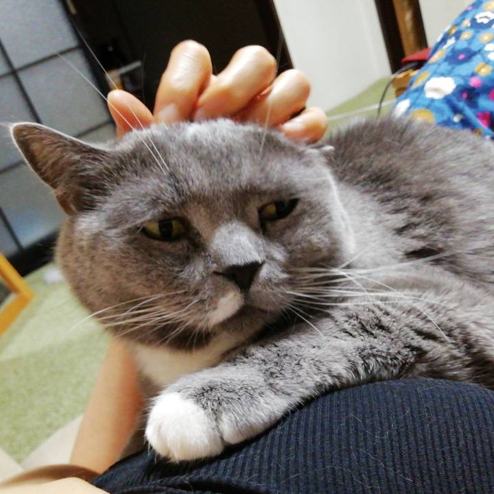 Ac72a38e f338 47d1 a3c0 d9138ae7025f 1708592431728