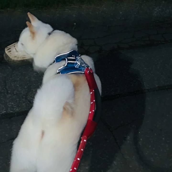 Ac72acc8 aaf5 4703 a88f 367e6bdc8d58 1663100507575