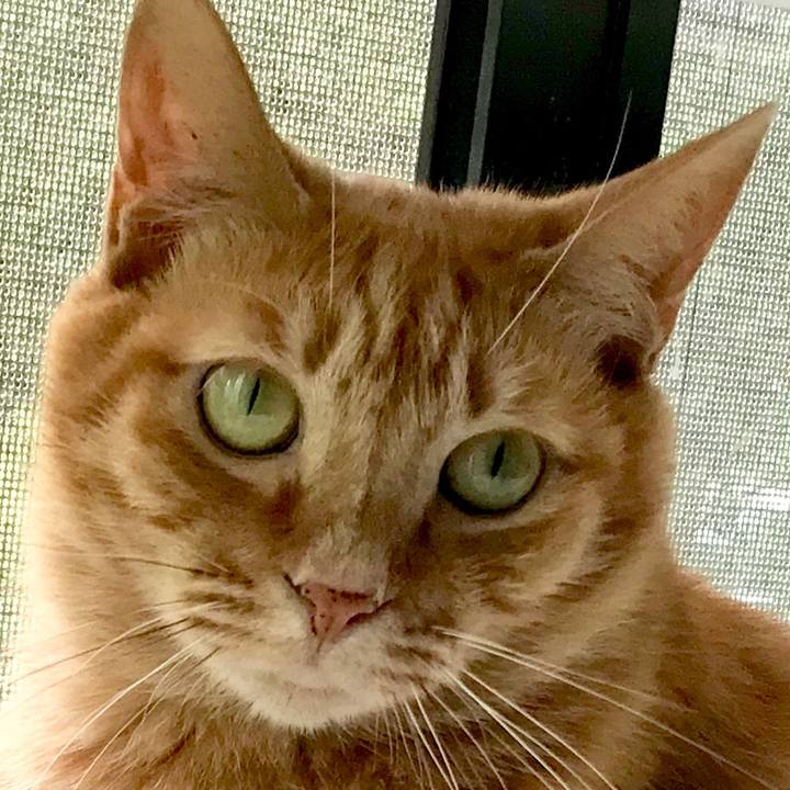 Ac72c08e 0042 4cdd a633 3390b1254faf 1563083621839