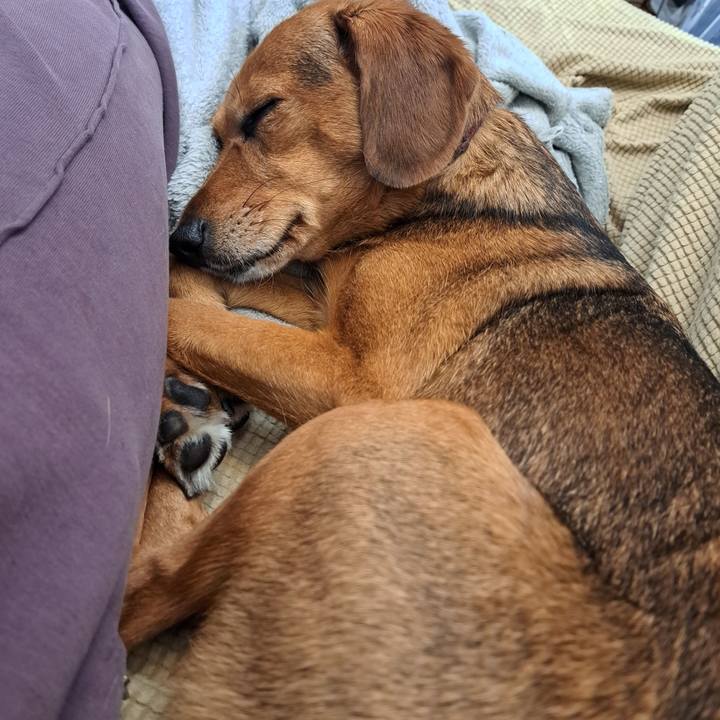 Ac72edce 97e5 4c6f 9cc0 3836127f9f40 1760324737781