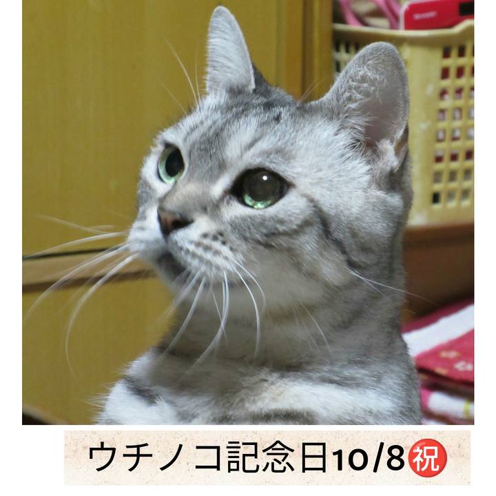 Ac731e39 01ae 4018 b95c 77ad3d6163df 1759879546569