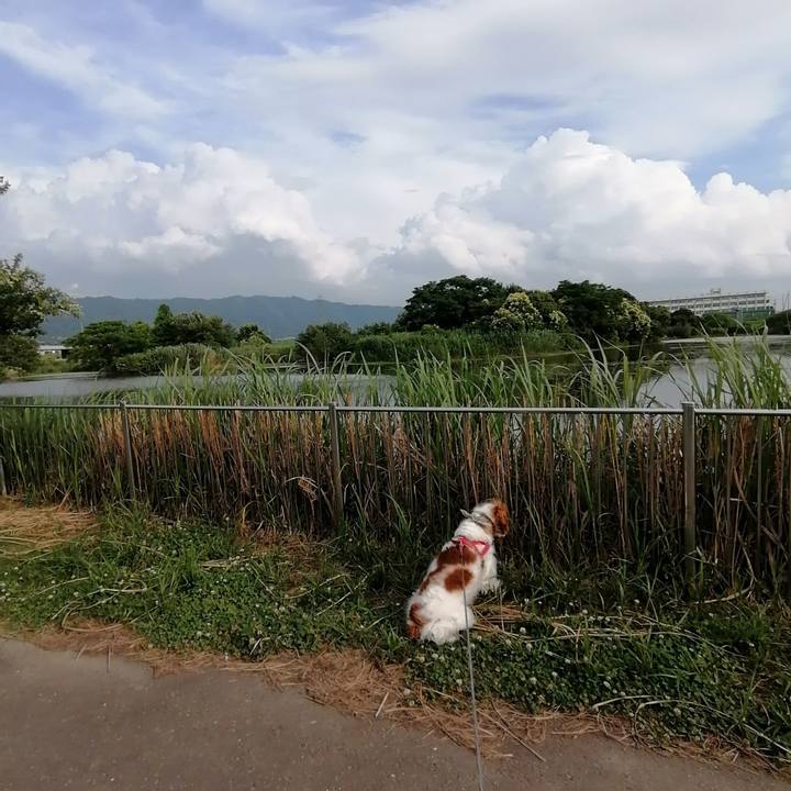 Ac738b8f 1169 46e6 b469 6876f3d24134 1593160355782