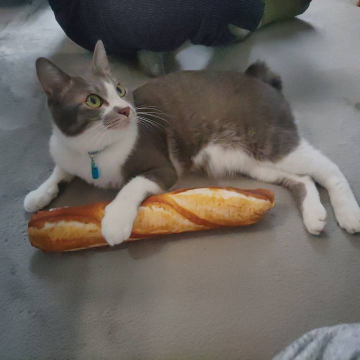 Ac73aff8 b95b 43e3 8150 2d58de7eddb6 1662692001283