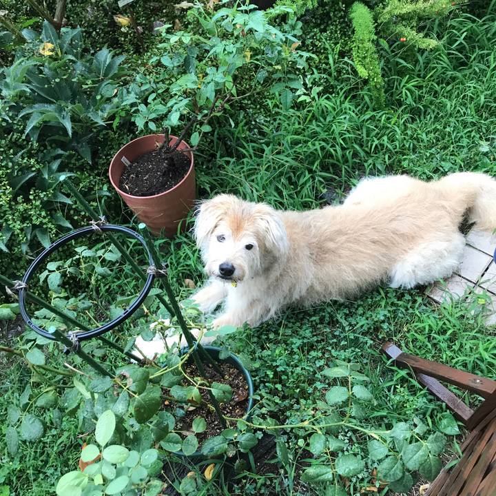 Ac73b138 7cb3 4209 ba60 020ccc3745a0 1566956663912