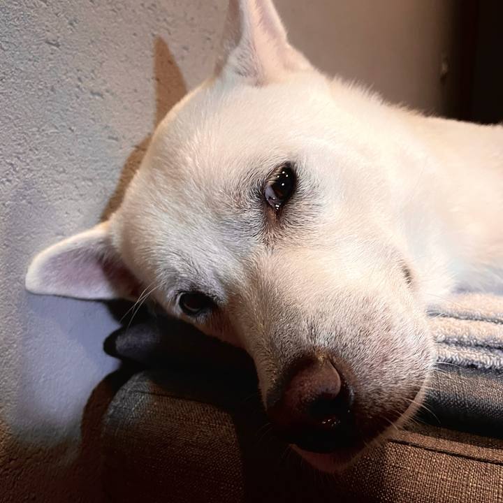 Ac73c068 718c 4c0f a30c d90d341a909c 1631614930182