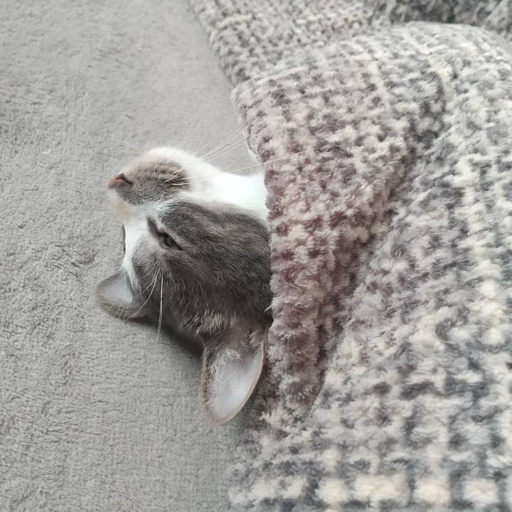 Ac740c13 9bb7 4f2b b7d4 aec497da2982 1611043709553