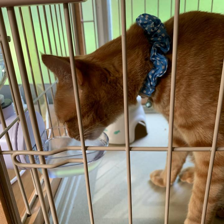 Ac7432dd 7ef2 42f7 8565 6512b9b009e1 1690844065706