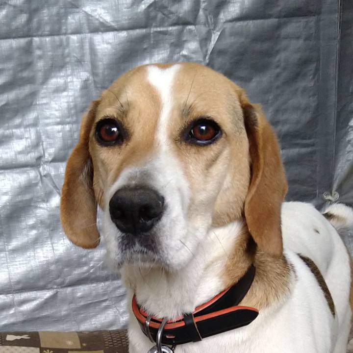 Ac745a3e 9b5b 4a87 a2ea d1faaaff47c1 1622042937716