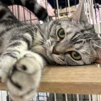 Ac74db73 ca29 4323 a9af e23a7bb26440 1722774281293