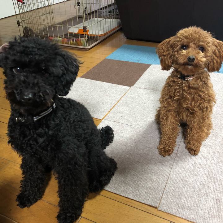 Ac750b3a 6a22 49b2 9ca0 f780238d046e 1519338767368