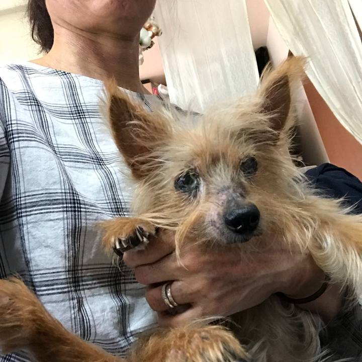 Ac75cafd 57b5 4f20 95cb 49349a7f87b1 1537580136313