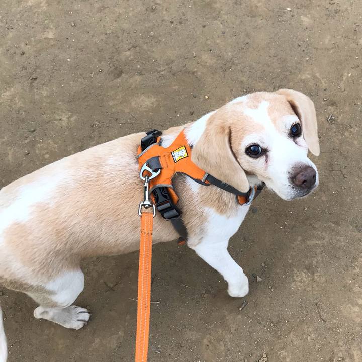 Ac75f53f e66e 42c9 be6b 39cd2cb019fa 1559746645606