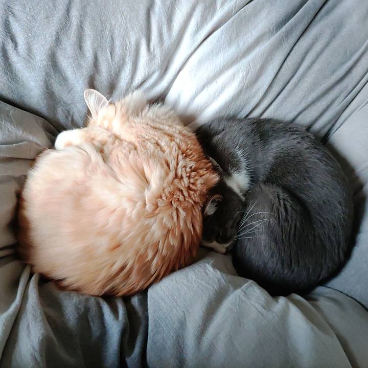 Ac761231 f836 48cc bfb0 d66e76f4c336 1668916794365